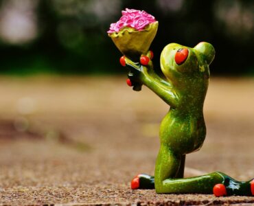 pardon pardonner amour valeur authenticité