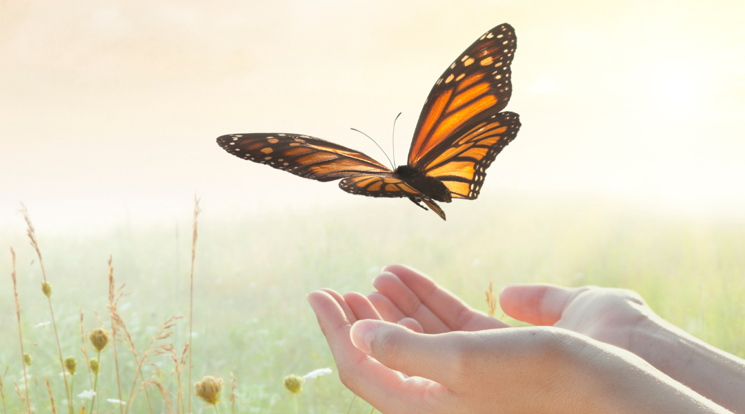 se libérer de la peur du manque