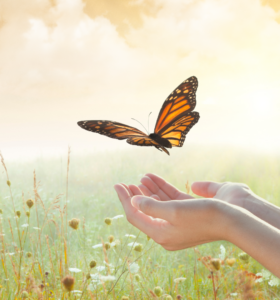 se libérer de la peur du manque