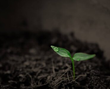 grandir évoluer renaître choisir oser confiance