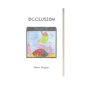 Steve Paquin - Occlusion